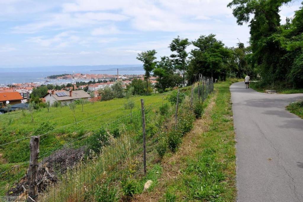 Apartment Izolanka / Great Location / Best Sea And City View 外观 照片